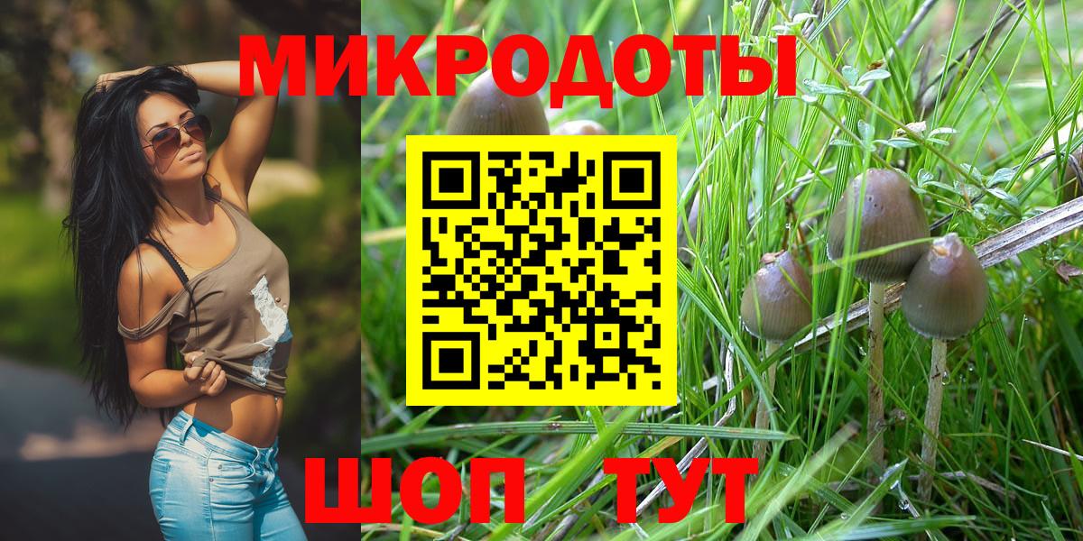 Железногорск  Псилоцибиновые грибы Psilocybine cubensis  Вход с VPN  Галлюциногенные грибы Magic Shrooms 