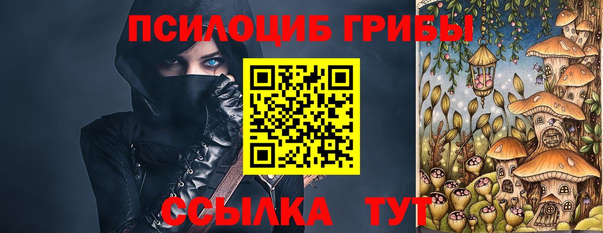 Псилоцибиновые грибы Psilocybine cubensis Железногорск